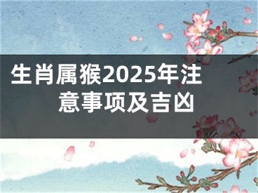 生肖属猴2025年注意事项及吉凶
