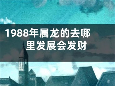1988年属龙的去哪里发展会发财