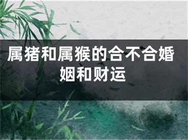 属猪和属猴的合不合婚姻和财运
