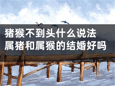 猪猴不到头什么说法 属猪和属猴的结婚好吗