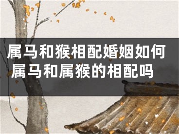 属马和猴相配婚姻如何 属马和属猴的相配吗