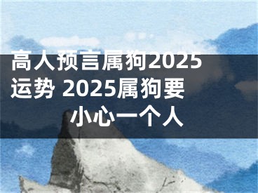 高人预言属狗2025运势 2025属狗要小心一个人