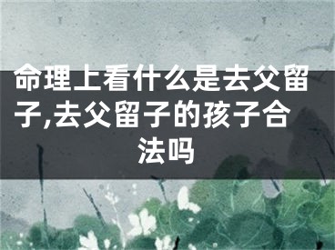 命理上看什么是去父留子,去父留子的孩子合法吗