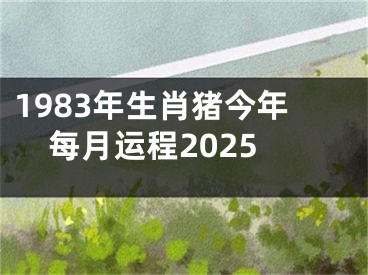 1983年生肖猪今年每月运程2025