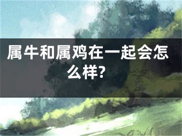 属牛和属鸡在一起会怎么样?