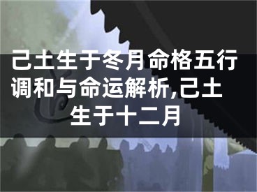 己土生于冬月命格五行调和与命运解析,己土生于十二月