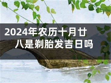 2024年农历十月廿八是剃胎发吉日吗