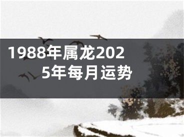 1988年属龙2025年每月运势