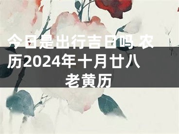 今日是出行吉日吗 农历2024年十月廿八老黄历