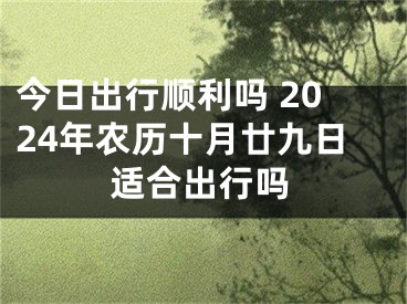 今日出行顺利吗 2024年农历十月廿九日适合出行吗