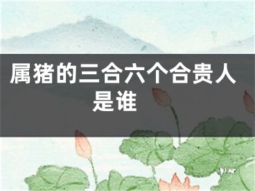 属猪的三合六个合贵人是谁 