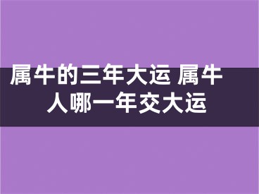 属牛的三年大运 属牛人哪一年交大运