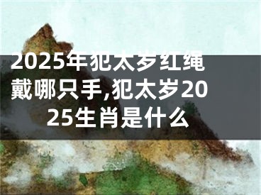 2025年犯太岁红绳戴哪只手,犯太岁2025生肖是什么