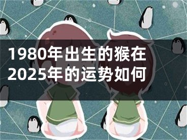 1980年出生的猴在2025年的运势如何