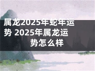 属龙2025年蛇年运势 2025年属龙运势怎么样