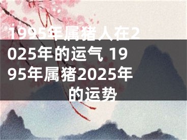 1995年属猪人在2025年的运气 1995年属猪2025年的运势