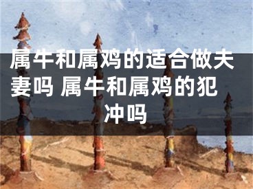 属牛和属鸡的适合做夫妻吗 属牛和属鸡的犯冲吗