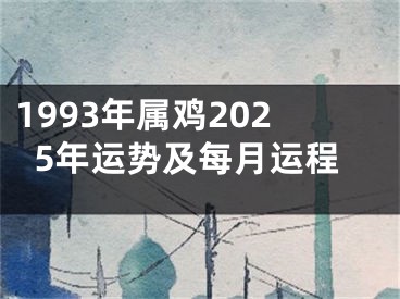 1993年属鸡2025年运势及每月运程