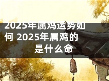 2025年属鸡运势如何 2025年属鸡的是什么命