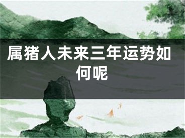 属猪人未来三年运势如何呢