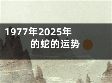 1977年2025年的蛇的运势