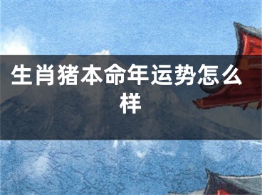 生肖猪本命年运势怎么样