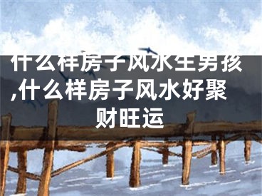 什么样房子风水生男孩,什么样房子风水好聚财旺运