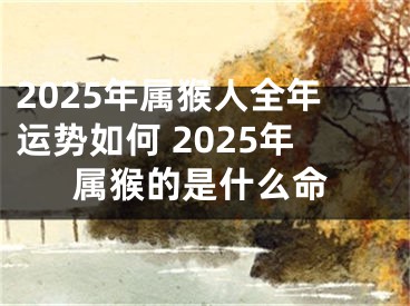 2025年属猴人全年运势如何 2025年属猴的是什么命