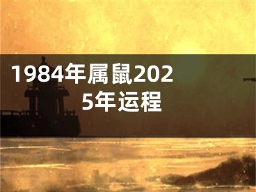 1984年属鼠2025年运程