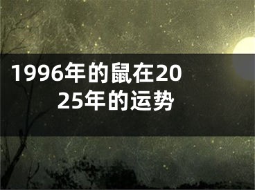 1996年的鼠在2025年的运势
