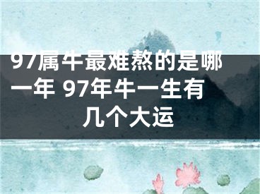 97属牛最难熬的是哪一年 97年牛一生有几个大运