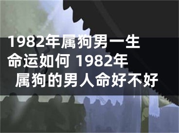 1982年属狗男一生命运如何 1982年属狗的男人命好不好