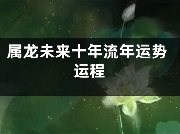 属龙未来十年流年运势运程