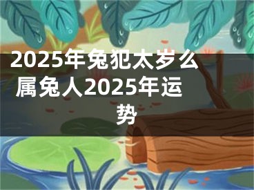 2025年兔犯太岁么 属兔人2025年运势