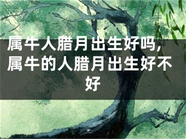 属牛人腊月出生好吗,属牛的人腊月出生好不好