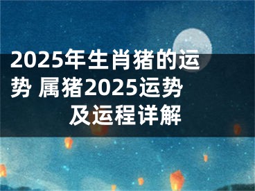 2025年生肖猪的运势 属猪2025运势及运程详解
