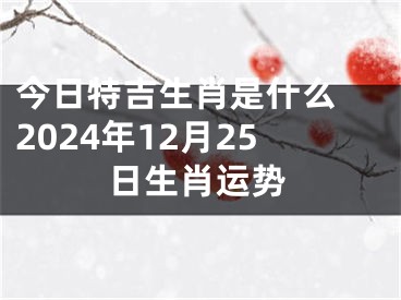今日特吉生肖是什么 2024年12月25日生肖运势