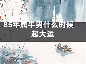85年属牛男什么时候起大运