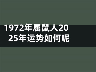 1972年属鼠人2025年运势如何呢 