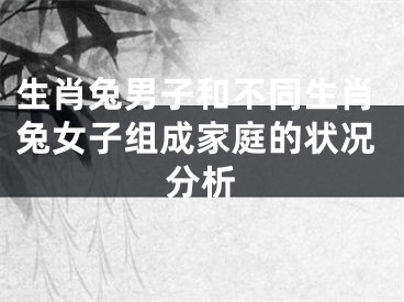 生肖兔男子和不同生肖兔女子组成家庭的状况分析
