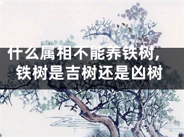 什么属相不能养铁树,铁树是吉树还是凶树