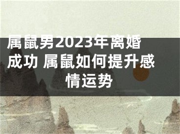 属鼠男2023年离婚成功 属鼠如何提升感情运势