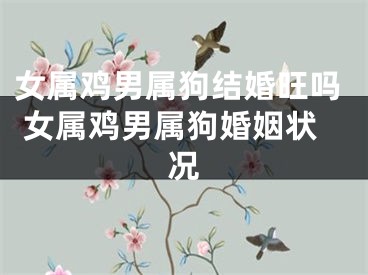 女属鸡男属狗结婚旺吗 女属鸡男属狗婚姻状况
