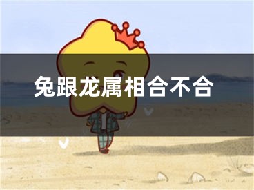 兔跟龙属相合不合