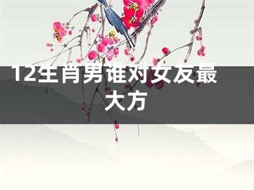 12生肖男谁对女友最大方