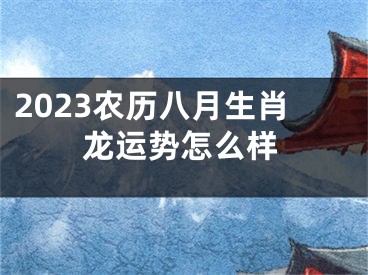 2023农历八月生肖龙运势怎么样