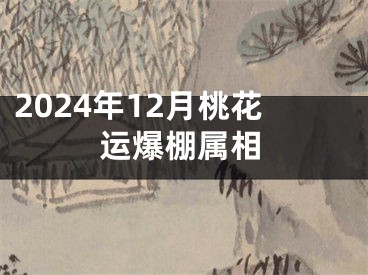 2024年12月桃花运爆棚属相