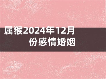 属猴2024年12月份感情婚姻