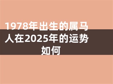 1978年出生的属马人在2025年的运势如何 