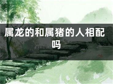 属龙的和属猪的人相配吗